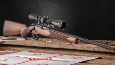 Photo of Springfield Armory Model 2020 Rimfires: A Pleasant Surprise
